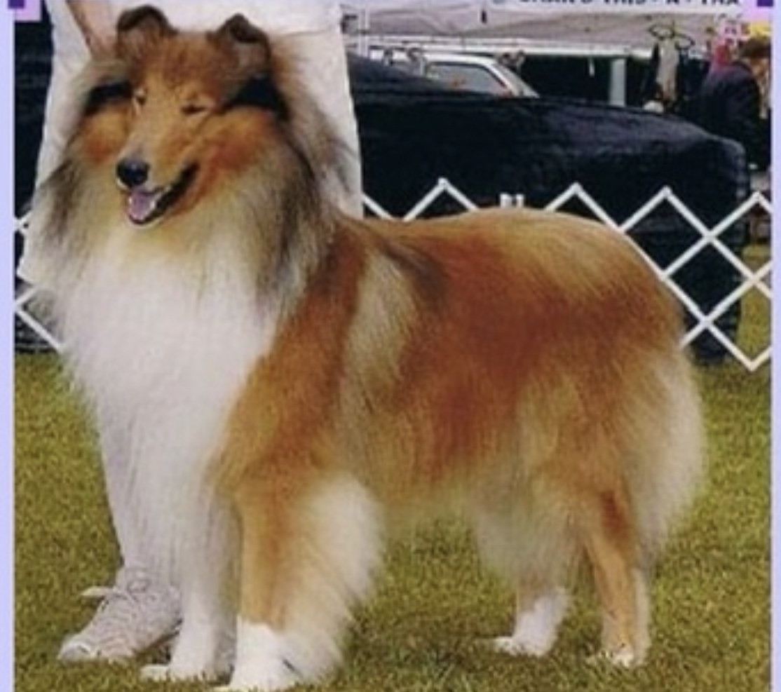 Lenox, Bogart’s great-grandfather