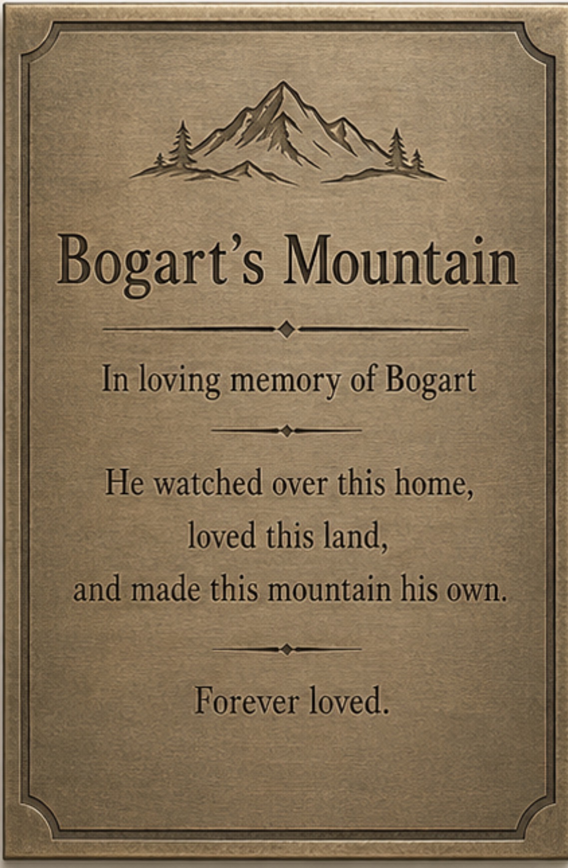 Bogart’s Mountain memorial plaque
