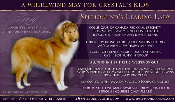 A Whirlwind May for Crystal's Kids: Spellbound's Leading Lady, Avery