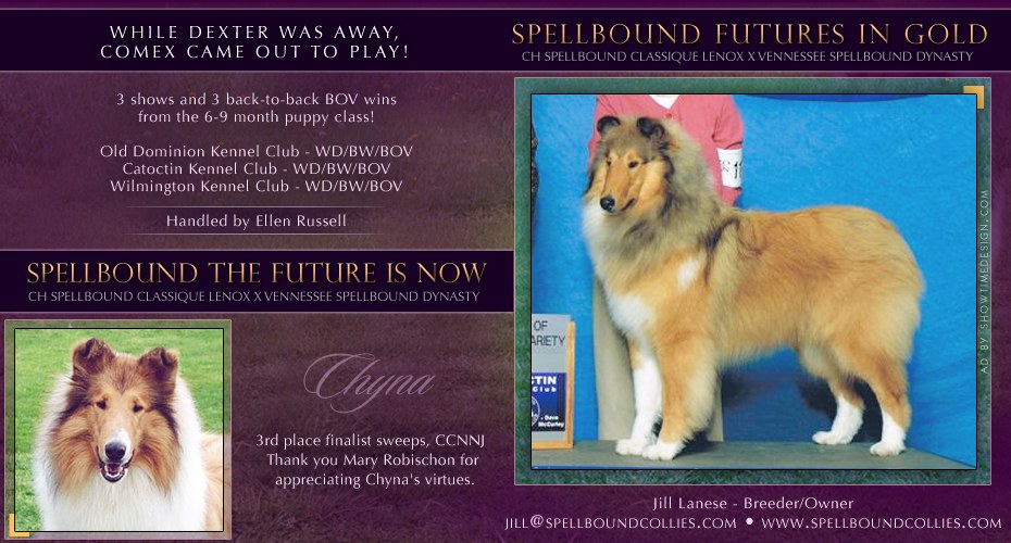 Spellbound Futures in Gold (Comex) and Spellbound The Future Is Now (Chyna)