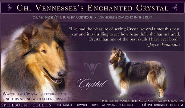 Ch. Vennessee's Enchanted Crystal with a quote from breeder Joyce Weinmann