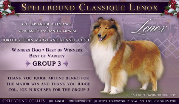 Spellbound Classique Lenox, Winners Dog and Group 3 at Northeastern Maryland Kennel Club
