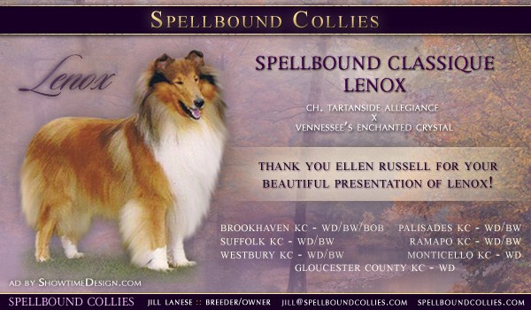 Spellbound Classique Lenox win history across multiple kennel clubs