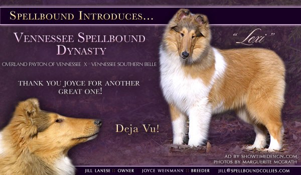 Spellbound introduces Vennessee Spellbound Dynasty, Lexi
