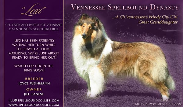 Vennessee Spellbound Dynasty, Lexi, waiting her turn