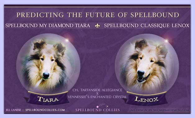 Predicting the Future of Spellbound: Spellbound My Diamond Tiara and Spellbound Classique Lenox